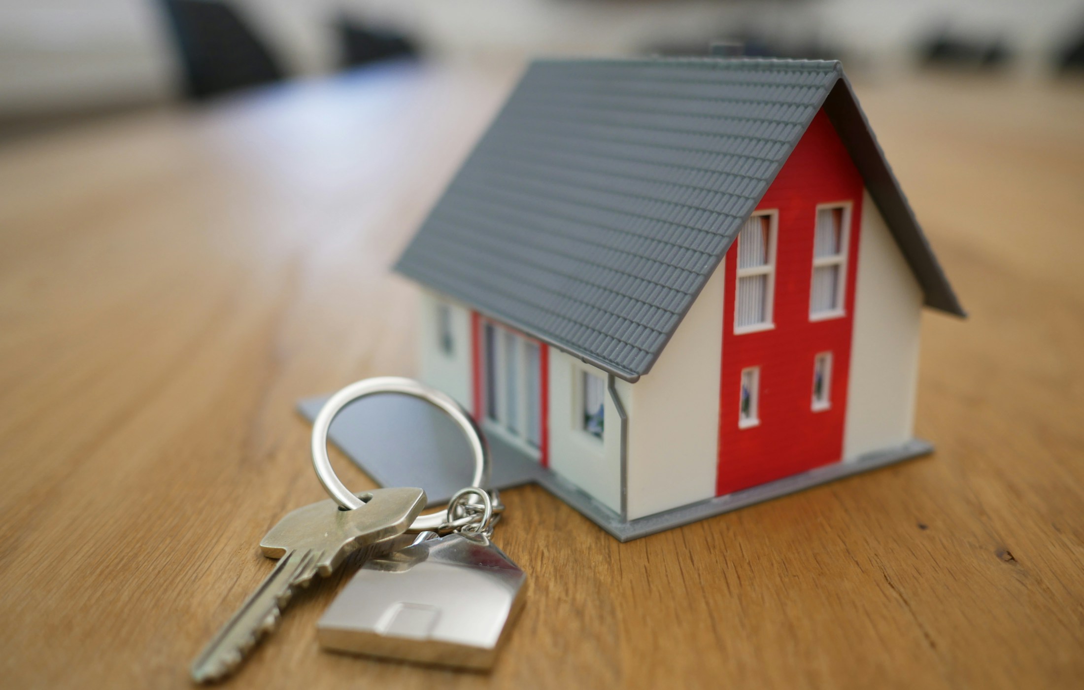Property & Landlords