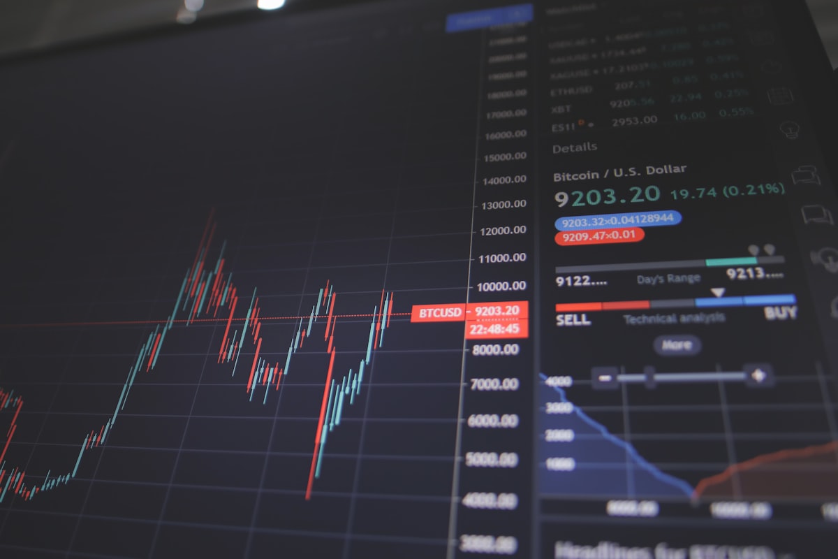 Investment & Financing